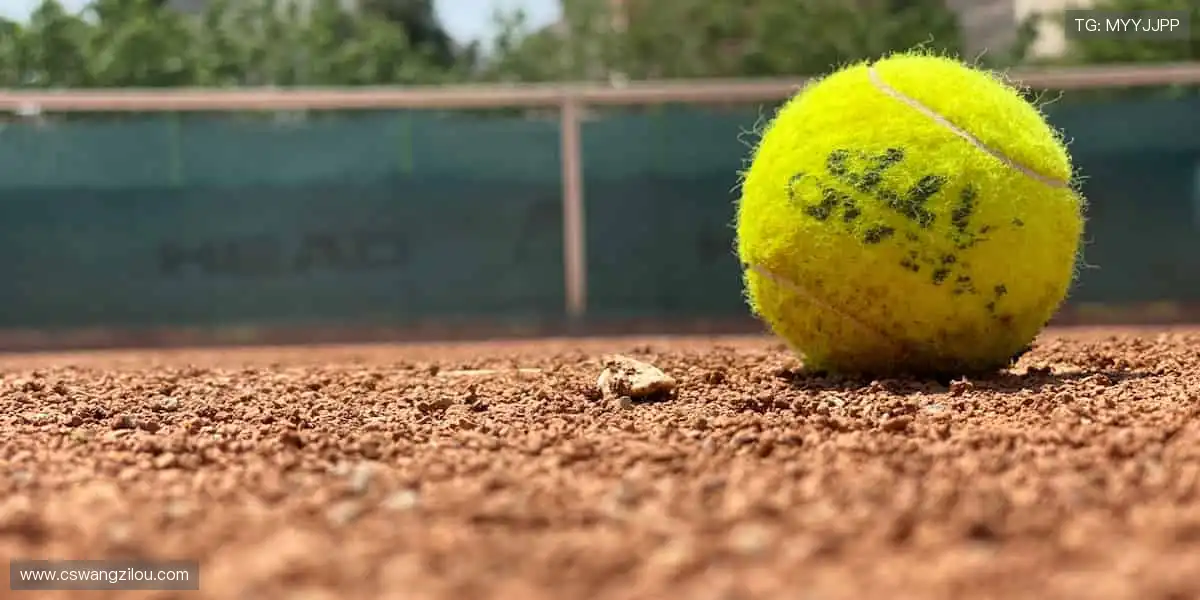 独家视角解读赛事，深度剖析战术精髓🎙️